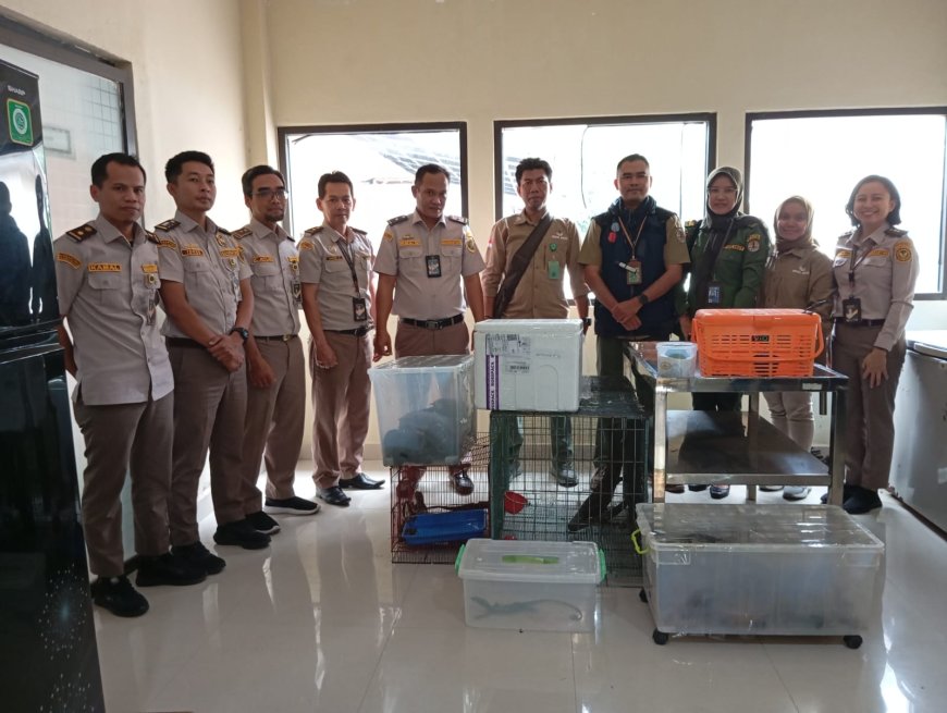 Serah Terima Satwa Hasil Penahanan Karantina di Sulawesi Selatan