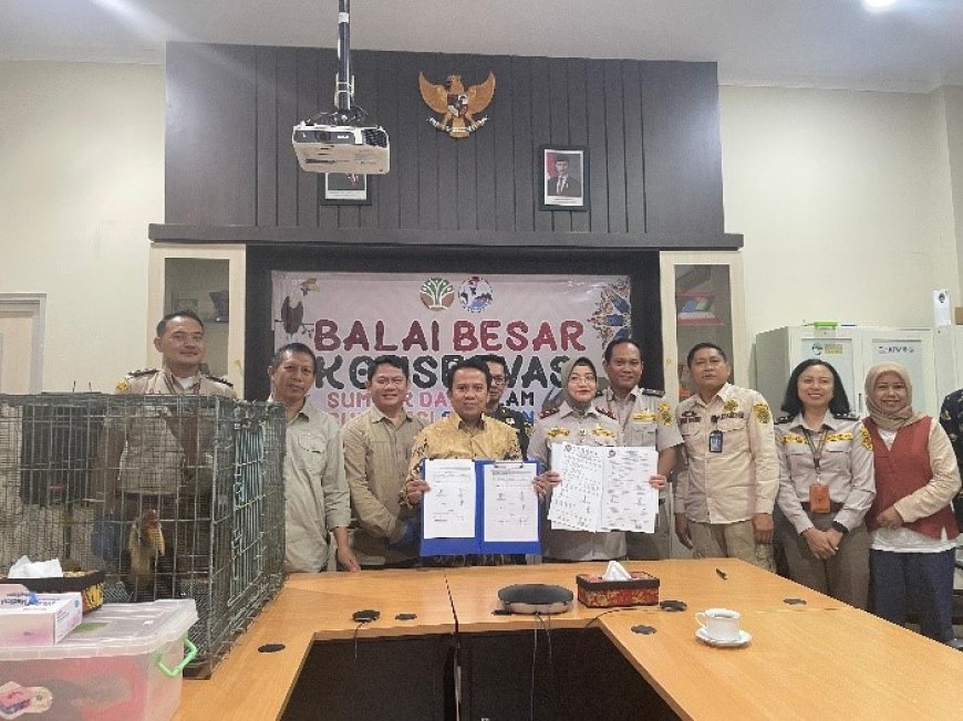 Karantina Sulsel dan BBKSDA Jalin Komitmen Perlindungan Satwa di Sulawesi