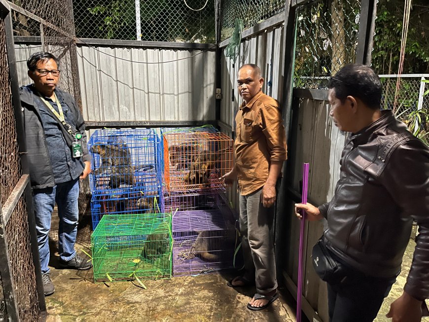 Satwa dititipkan di kandang transit BBKSDA Sulsel