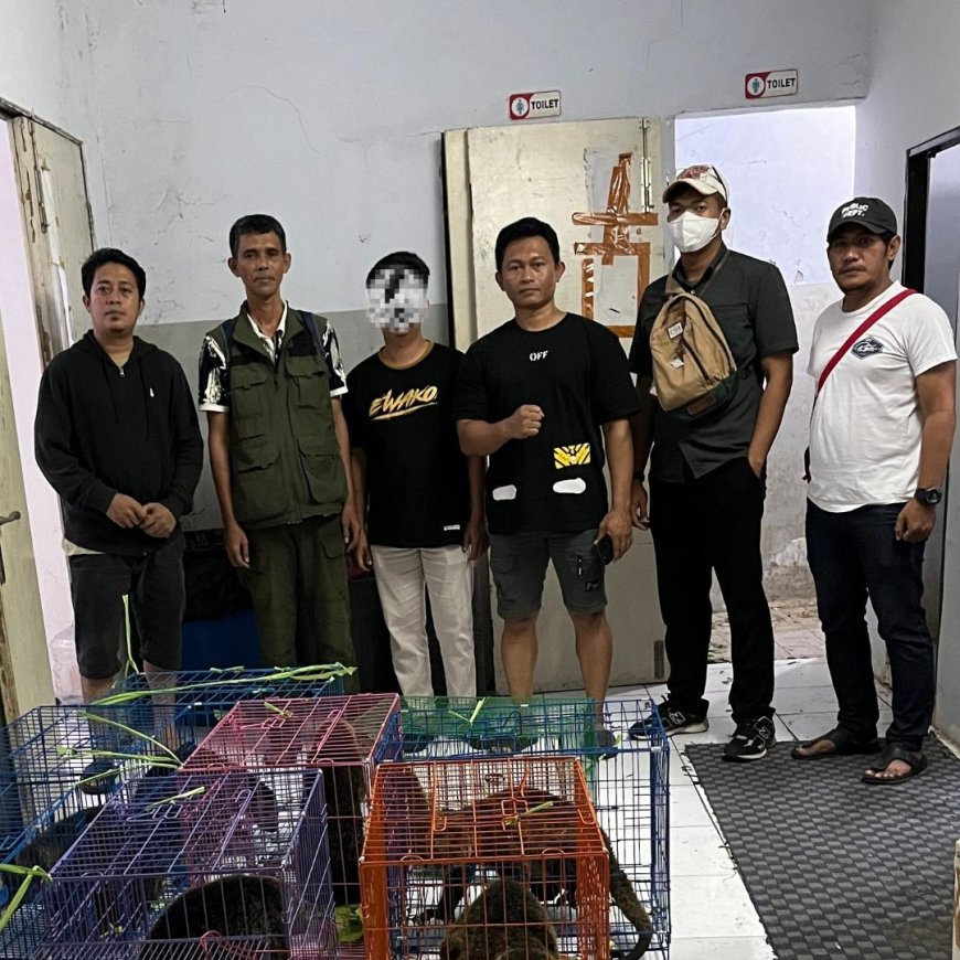 Balai Besar KSDA Sulawesi Selatan dan Balai Gakkumhut Sulawesi  Gagalkan Perdagangan Satwa Liar