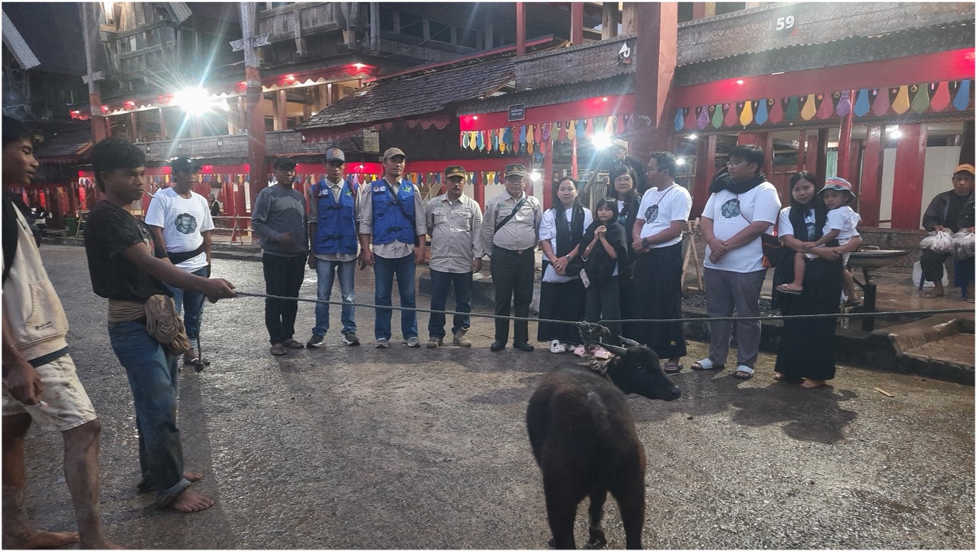 BBKSDA Sulsel Terima Seekor Anoa dari Warga Masyarakat Toraja Utara