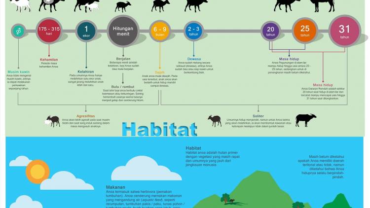 INFOGRAFIS PENYELAMATAN ANOA