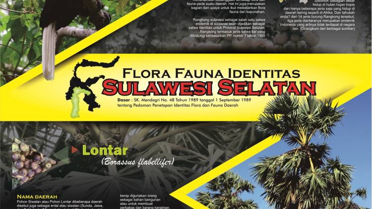 INFOGRAFIS FLORA FAUNA IDENTITAS SULSEL