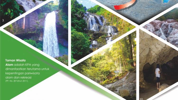 INFOGRAFIS TWA (TAMAN WISATA ALAM)