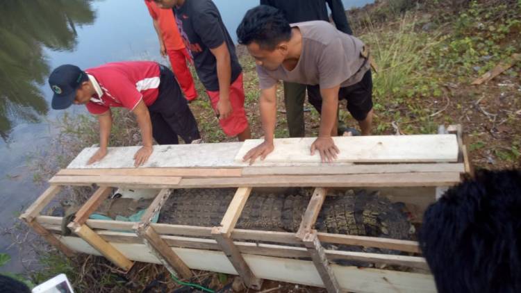 Antar buaya, Antar Provinsi