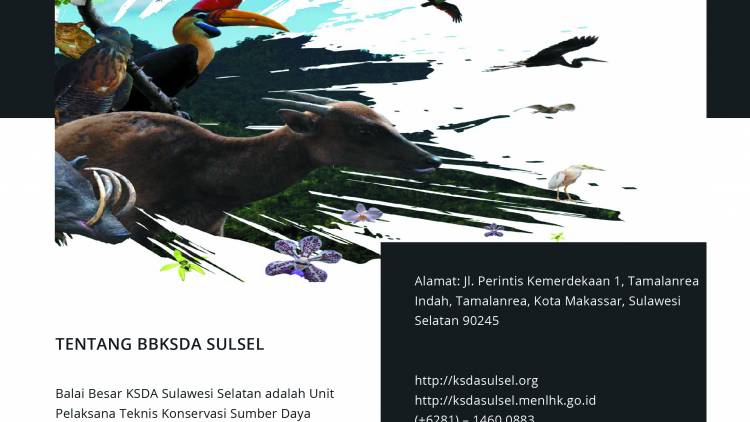 KALEIDOSKOP BALAI 2018