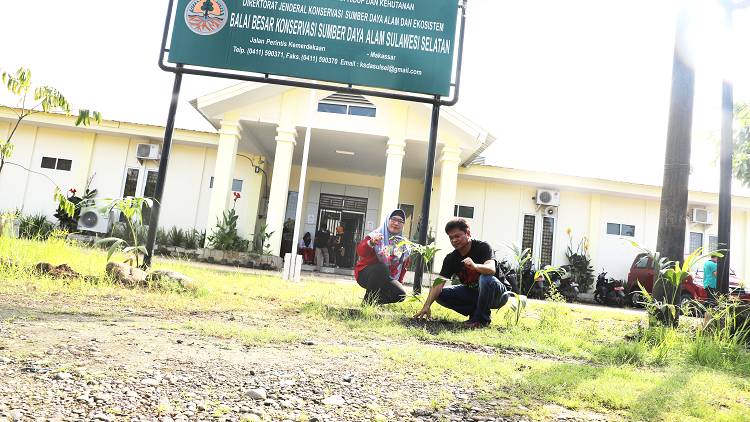 BBKSDA Sulsel Peringati Hari Hutan dan Air dengan Kampanye Konservasi dan Tanam Pohon Bersama
