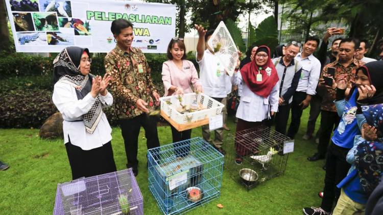 Pengelolaan KonservasiTSL Wallaceae Menuju Era Revolusi Industri 4.0