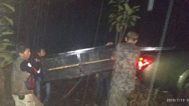 Pelepasliaran Buaya Muara dan Ular Sanca Kembang Di Sungai Malili Kabupaten Luwu Timur