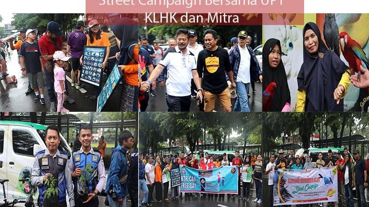 Street Campaign 2020 : Konservasi Alam bersama UPT KLHK Sulsel dan Mitra