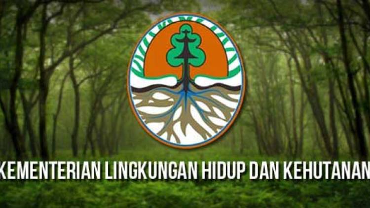 REKRUTMEN TENAGA TEKNIS FOREST PROGRAMME IV MAMASA-SULAWESI