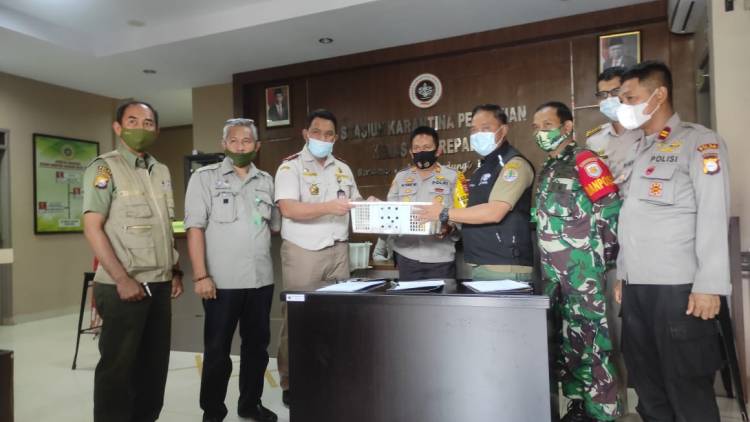 BERSINERGI DALAM PENANGANAN PEREDARAN SATWA BERSAMA KARANTINA PERTANIAN PARE-PARE
