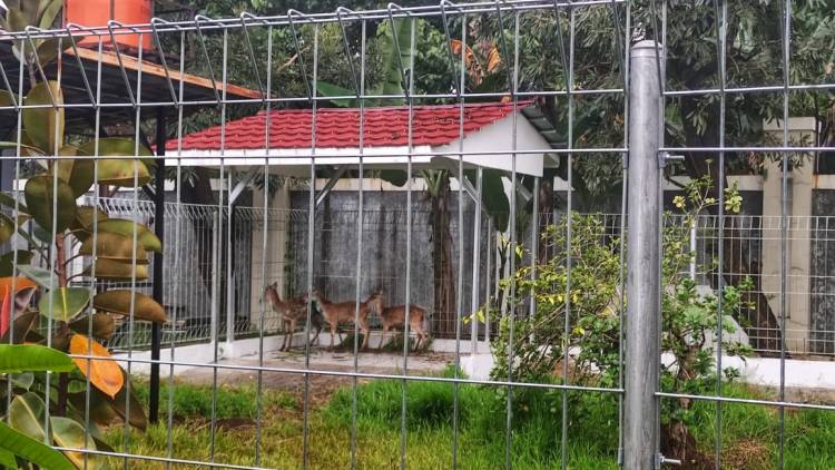 Rumah Baru Narko dan Tika di BNN Baddoka Makassar