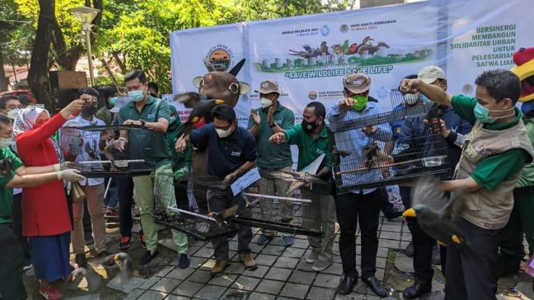 TALK SHOW “ACO” ACCARITA KONSERVASI UNTUK PELESTARIAN SATWA LIAR DIMASA PANDEMI