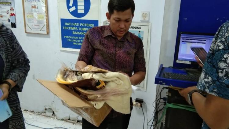 SERAH TERIMA BARANG PENGIRIMAN MASYARAKAT DARI EKSPEDISI JNE KEPADA BBKSDA SULSEL
