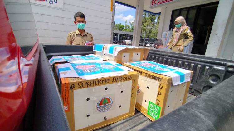 BBKSDA SULSEL TERIMA SATWA TRANSLOKASI HASIL OPERASI DI SURABAYA