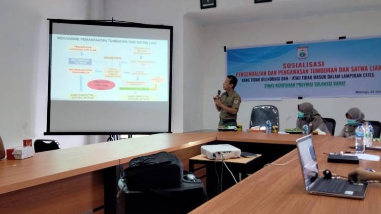 SOSIALISASI PENGENDALIAN TSL YANG TIDAK DILINDUNGI ATAU BUKAN APPENDIK CITES DI WILAYAH SULAWESI BARAT