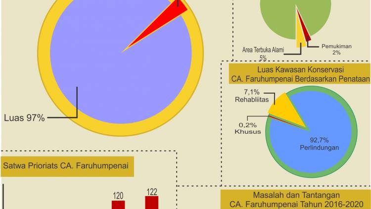 Infografis CA. Faruhumpenai Tahun 2020