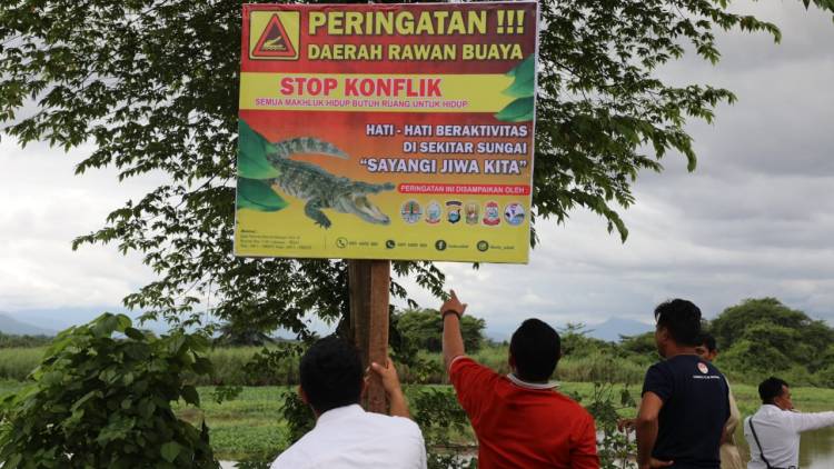 Cegah Konflik Satwa dengan Masyarakat, Papan Peringatan Rawan Buaya Dipasang BBKSDA Sulsel di Blok 10 Perumnas Antang, Kota Makassar