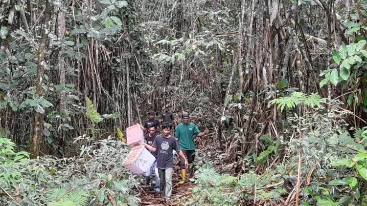 8 Ekor Sanca Batik Kembali Dilepasliarkan, Begini Tanggapan Kababes KSDA Sulsel