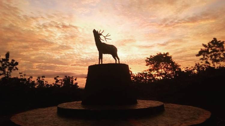 TAMAN BURU KO`MARA