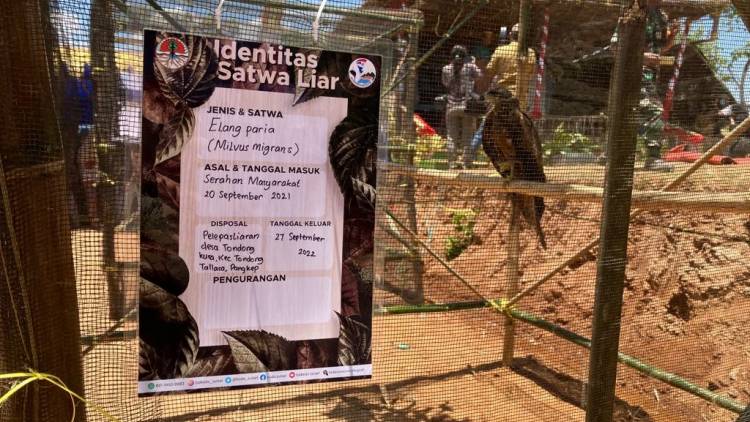 Grand Launching Desa Wisata Tondongkura, Perpaduan Culture and Conservation