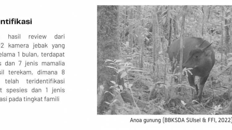 Ekspose Dan Seminar Hasil Survei Kamera Jebak Satwa Anoa